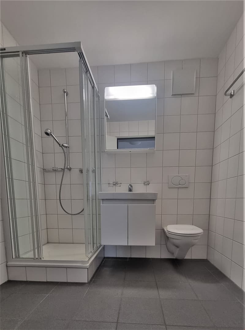 4.5-Zimmerwohnung nähe Bürgerspital (10)