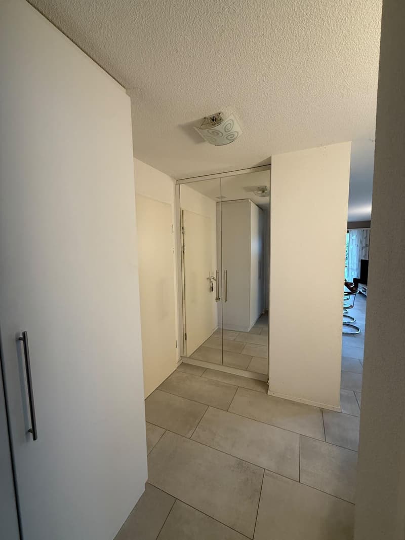 2 1/2-Zimmerwohnung mit Schwedenofen im Eigentumsstandard (9)