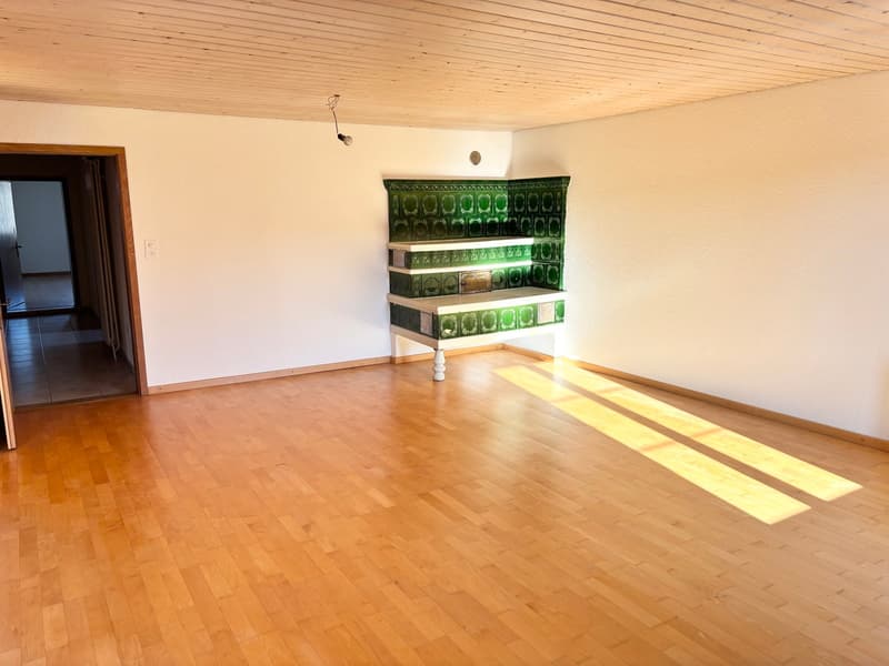 Gemütliche Dachwohnung mit Gartensitzplatz (2)