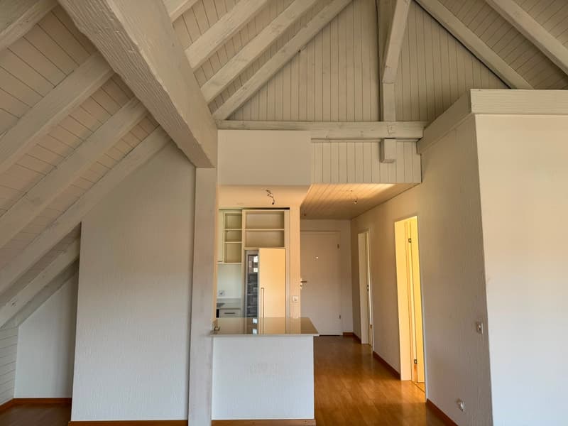 Dachwohnung an ruhiger Lage im Dorfzentrum (3)