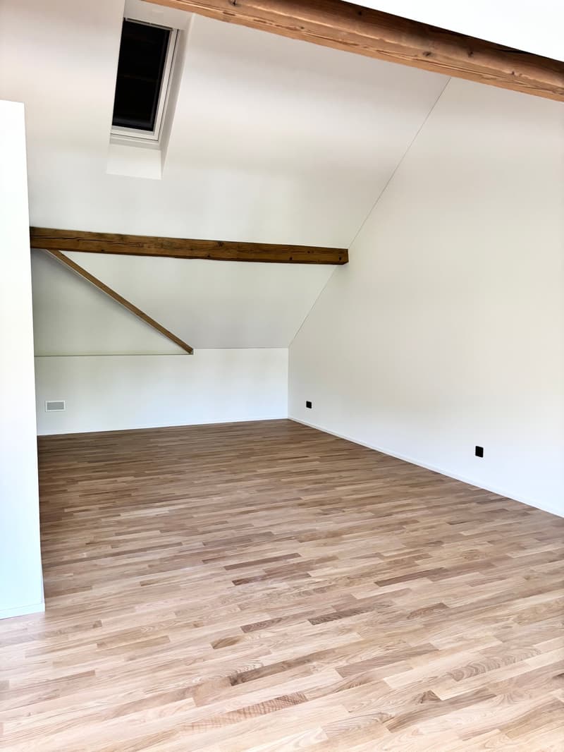 Einzigartiges Neubau-Loft mit Balkon (7)