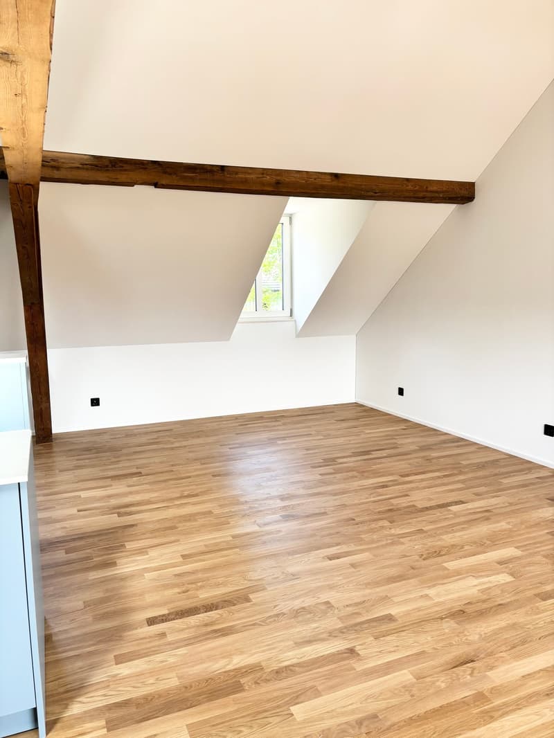 Einzigartiges Neubau-Loft mit Balkon (5)