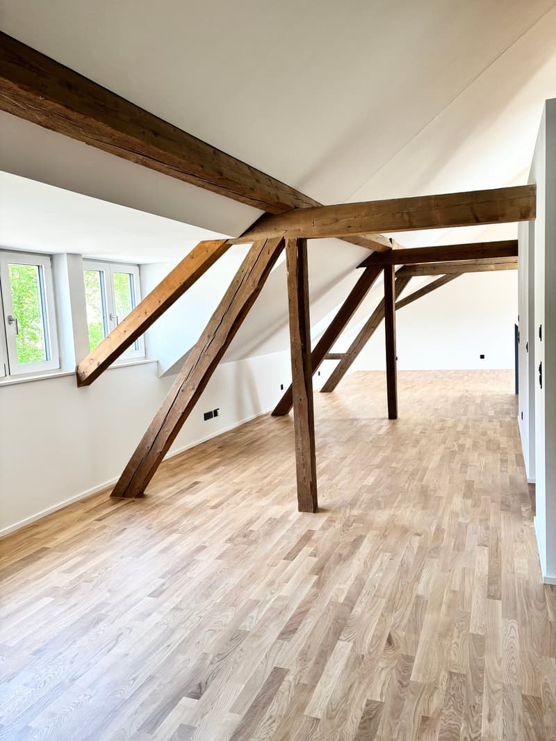 Einzigartiges Neubau-Loft mit Balkon (6)