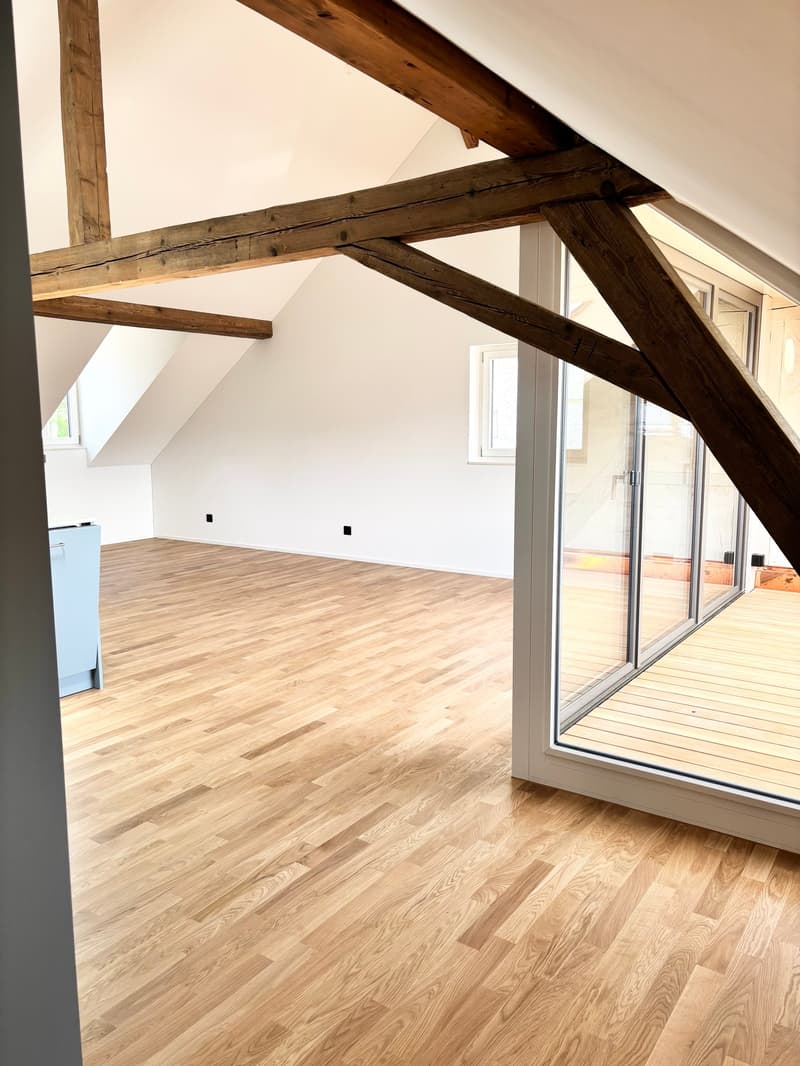 Einzigartiges Neubau-Loft mit Balkon (4)