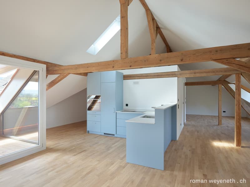Einzigartiges Neubau-Loft mit Balkon (1)