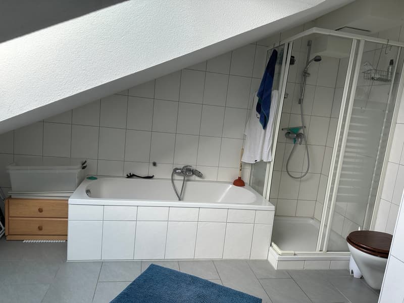 Grosszügige 4.5-Zimmer-Wohnung mit Balkon und schöner Aussicht in Allschwil (6)