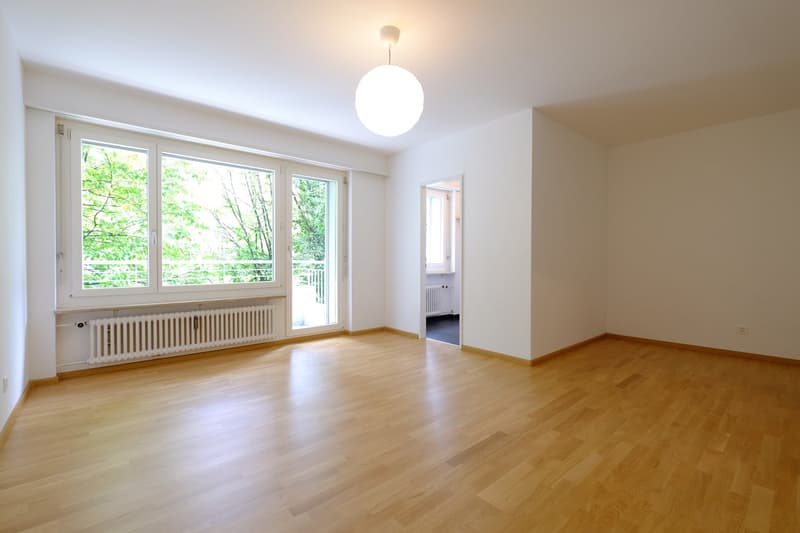 Traumhafte 1.5-Zimmerwohnung mit Balkon an zentraler Lage - kürzlich renoviert! (1)