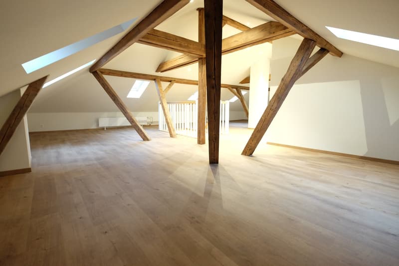 Traumhafte 5.5-ZimmerDACHwohnung mit riesiger Terrasse (60m2) an zentraler Lage (Altbau) (19)