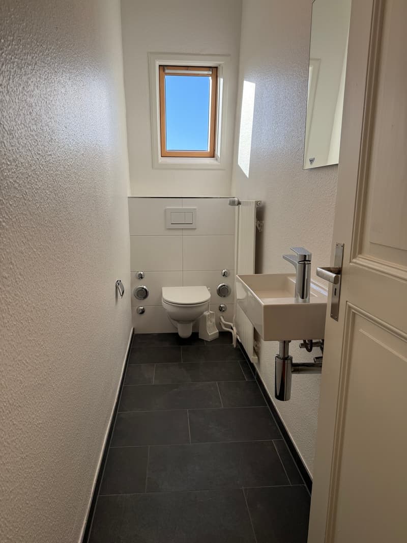 Traumhafte 5.5-ZimmerDACHwohnung mit riesiger Terrasse (60m2) an zentraler Lage (Altbau) (8)