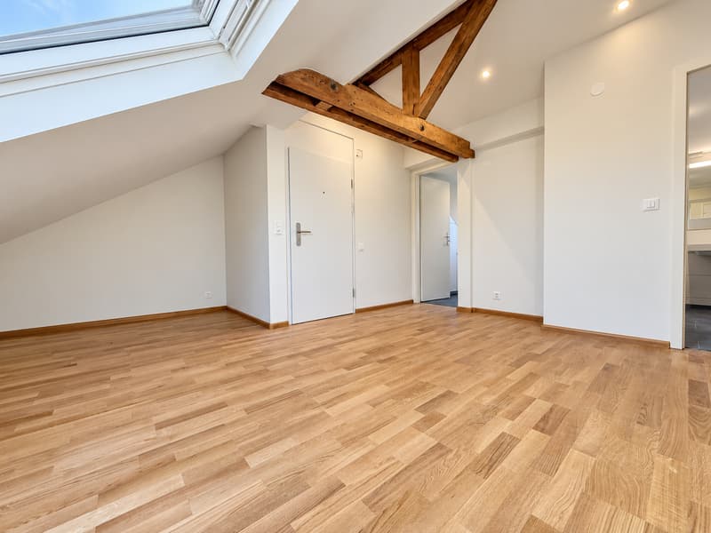 Erstbezug - Stilvoll renovierte 2.5-Zimmerwohnung im Dachgeschoss (2)