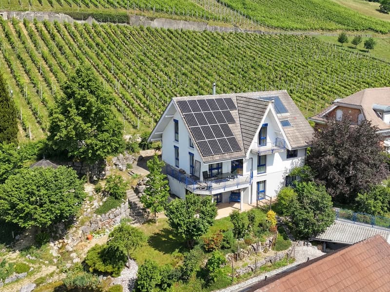 Wo Ruhe, Natur und Lebensqualität zuhause sind (3)