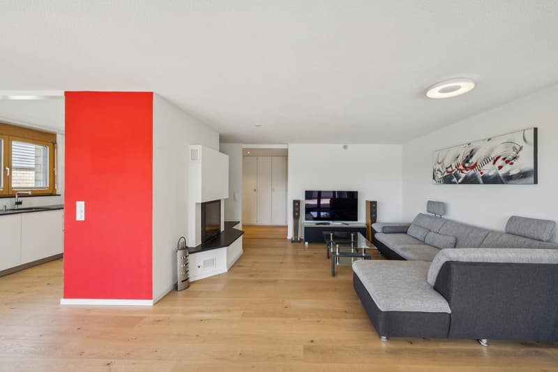 Sonnige Terrassenwohnung mit Panoramablick (4)