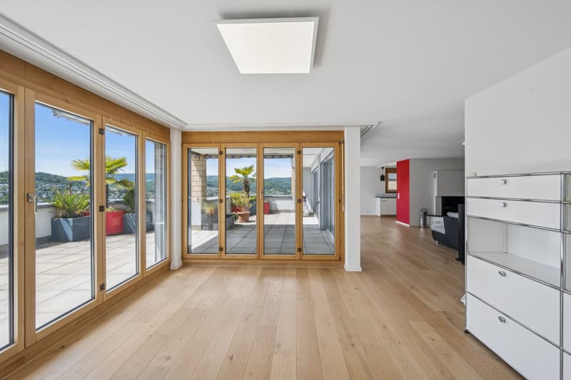 Sonnige Terrassenwohnung mit Panoramablick (4)