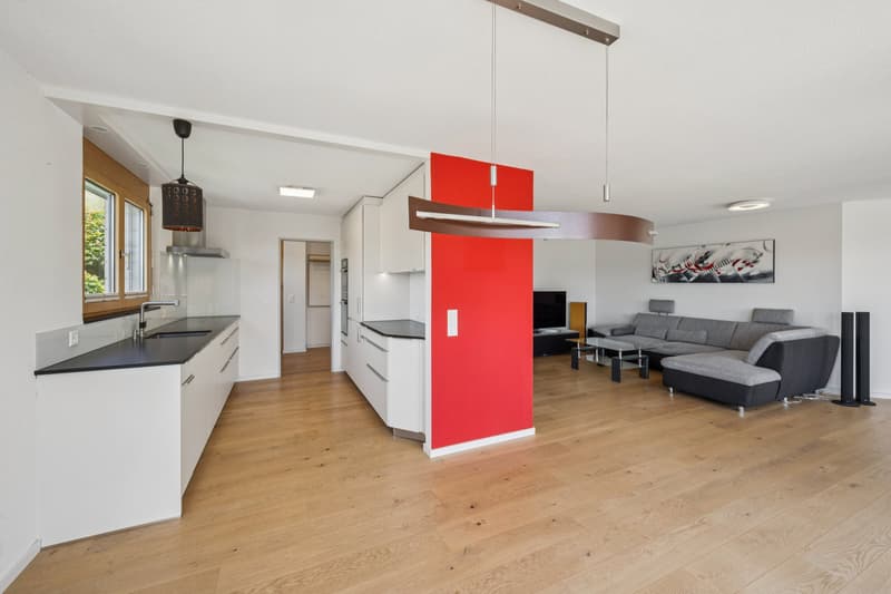 Sonnige Terrassenwohnung mit Panoramablick (5)