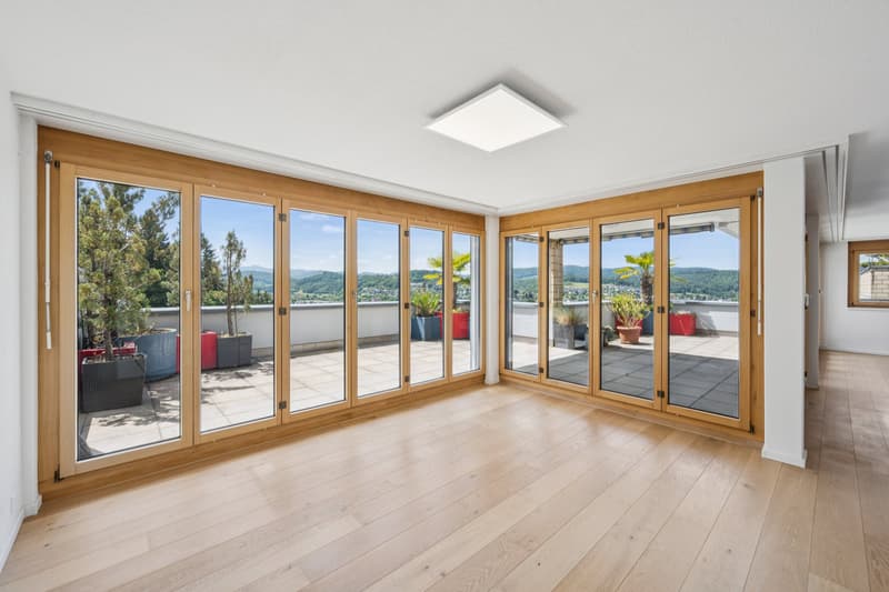 Sonnige Terrassenwohnung mit Panoramablick (3)