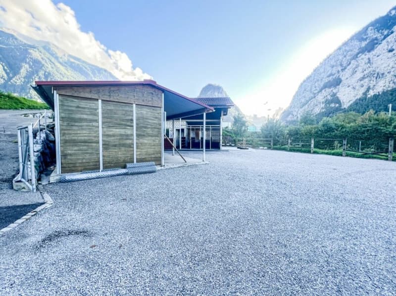 Pferdeparadiesli im Simmental - Berner Oberland (22)
