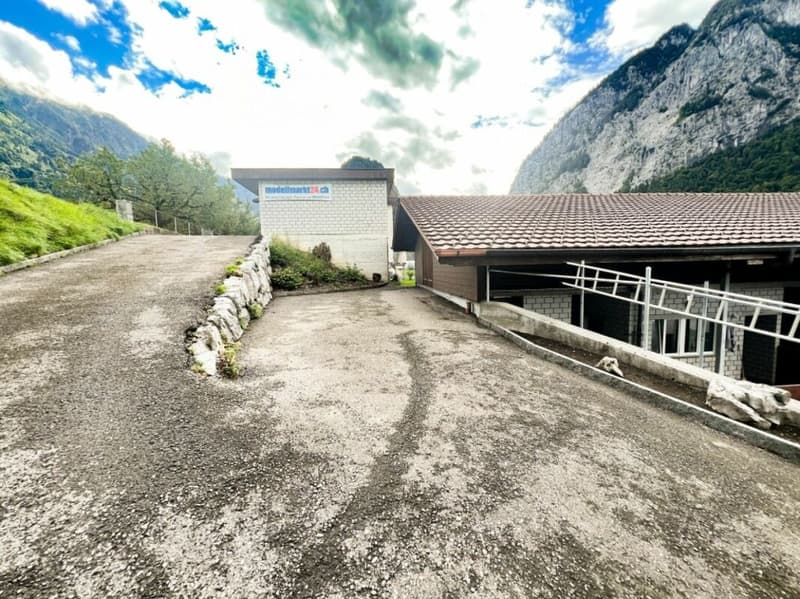 Pferdeparadiesli im Simmental - Berner Oberland (25)