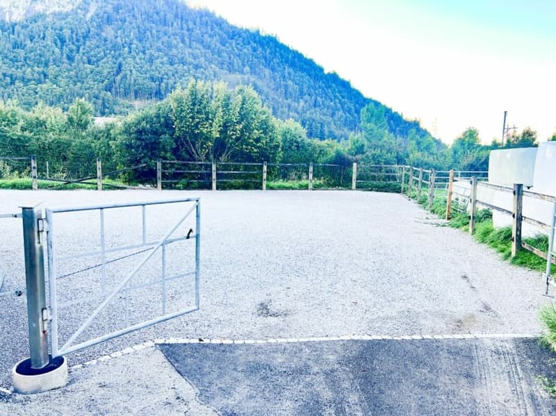 Pferdeparadiesli im Simmental - Berner Oberland (24)