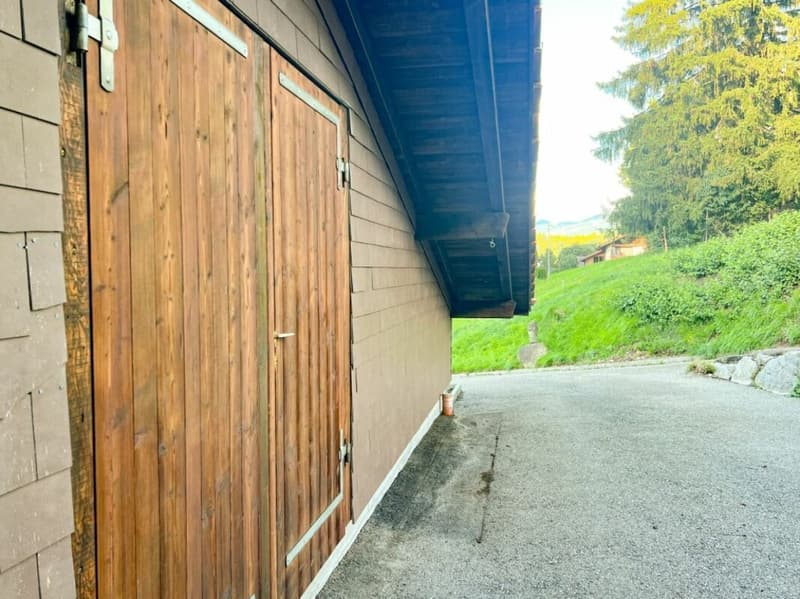 Pferdeparadiesli im Simmental - Berner Oberland (31)