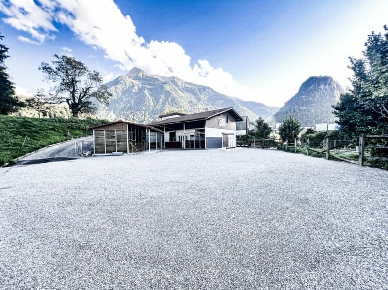 Pferdeparadiesli im Simmental - Berner Oberland (2)