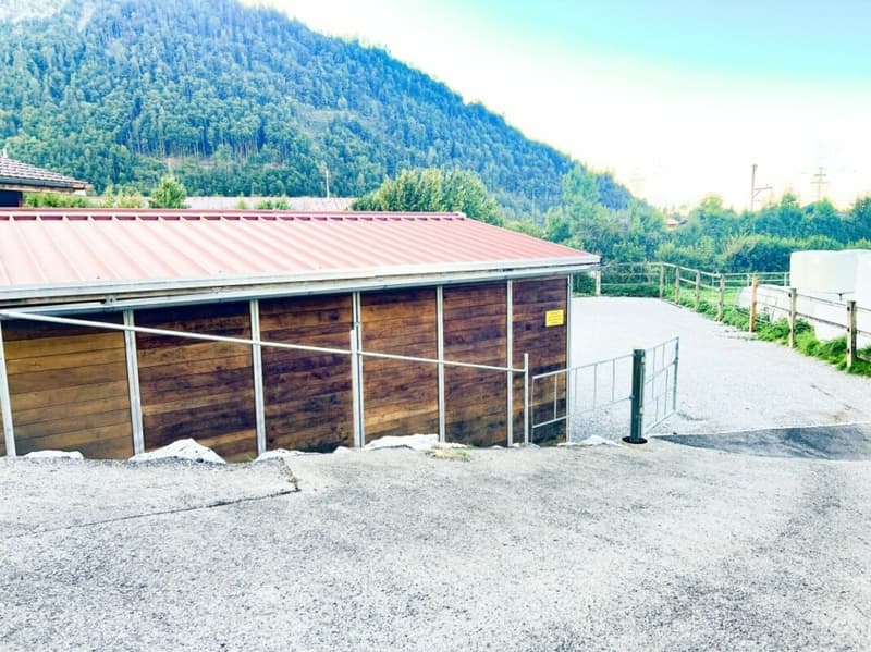 Pferdeparadiesli im Simmental - Berner Oberland (27)
