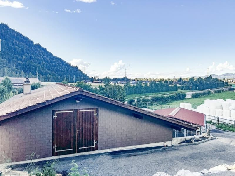 Pferdeparadiesli im Simmental - Berner Oberland (30)
