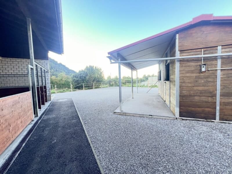 Pferdeparadiesli im Simmental - Berner Oberland (6)