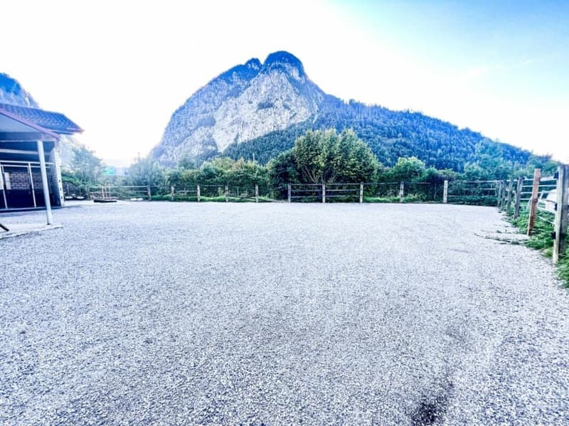 Pferdeparadiesli im Simmental - Berner Oberland (23)