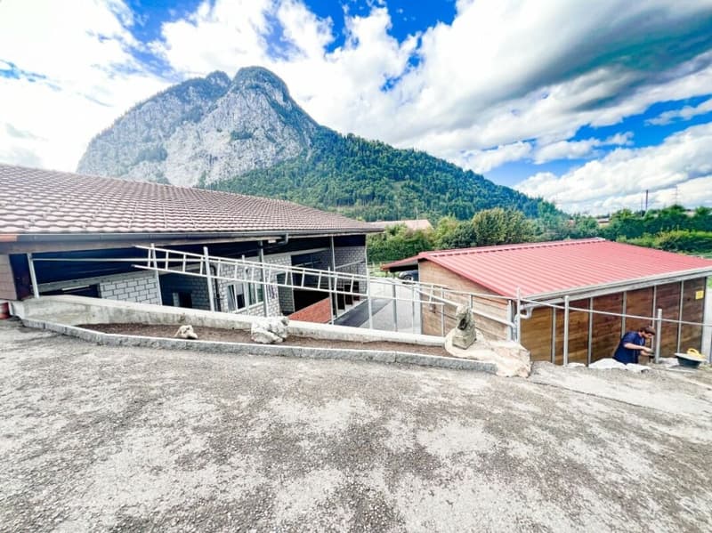 Pferdeparadiesli im Simmental - Berner Oberland (26)