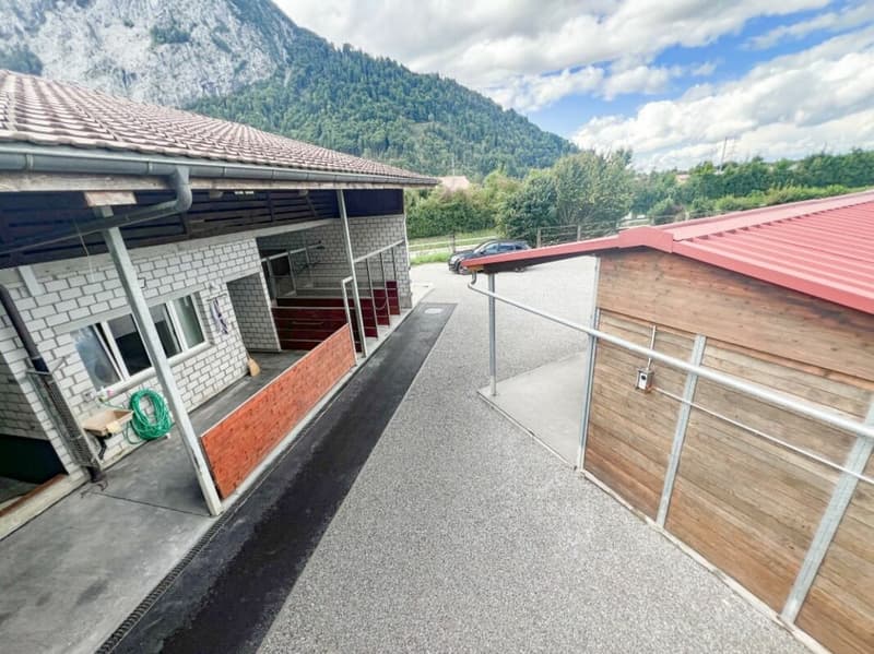 Pferdeparadiesli im Simmental - Berner Oberland (9)