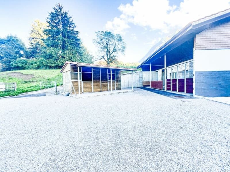 Pferdeparadiesli im Simmental - Berner Oberland (4)