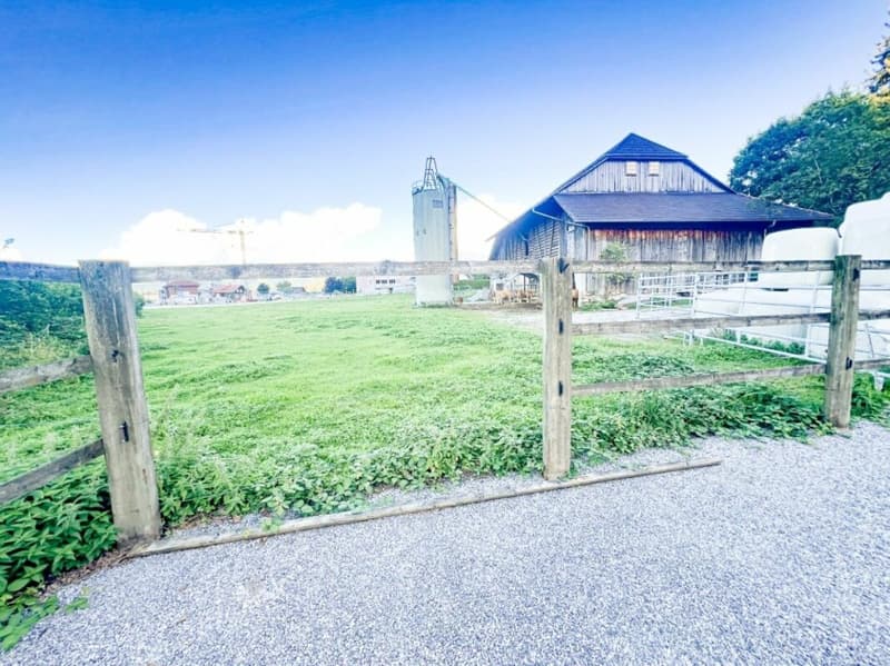 Pferdeparadiesli im Simmental - Berner Oberland (33)