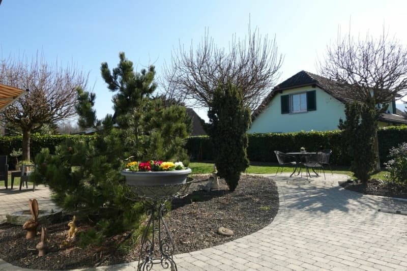 Maison unifamiliale avec grand jardin (15)