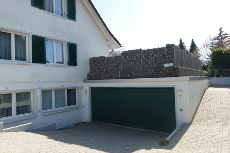 Maison unifamiliale avec grand jardin (7)