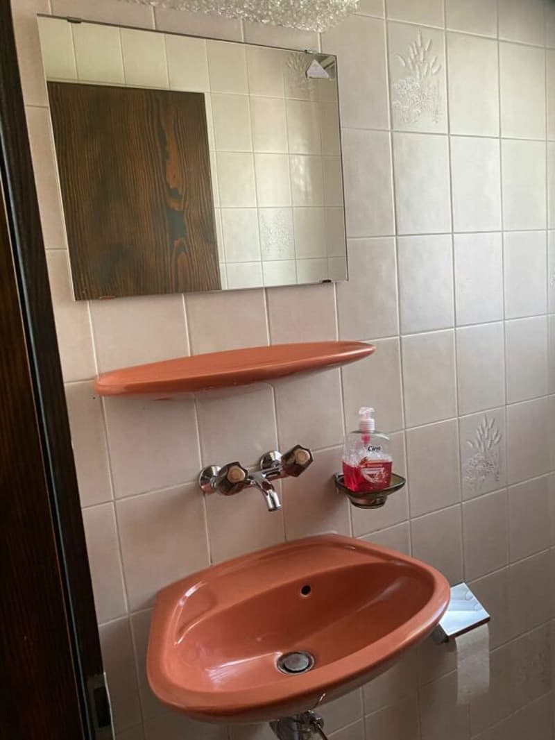 Maison unifamiliale avec grand jardin (35)