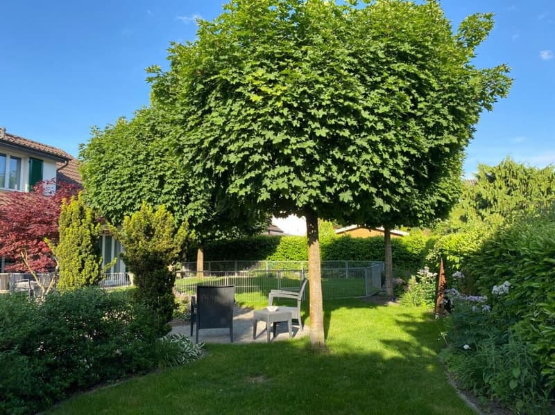 Maison unifamiliale avec grand jardin (13)