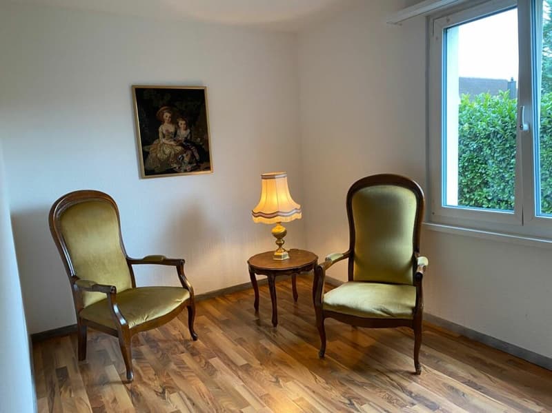 Maison unifamiliale avec grand jardin (31)