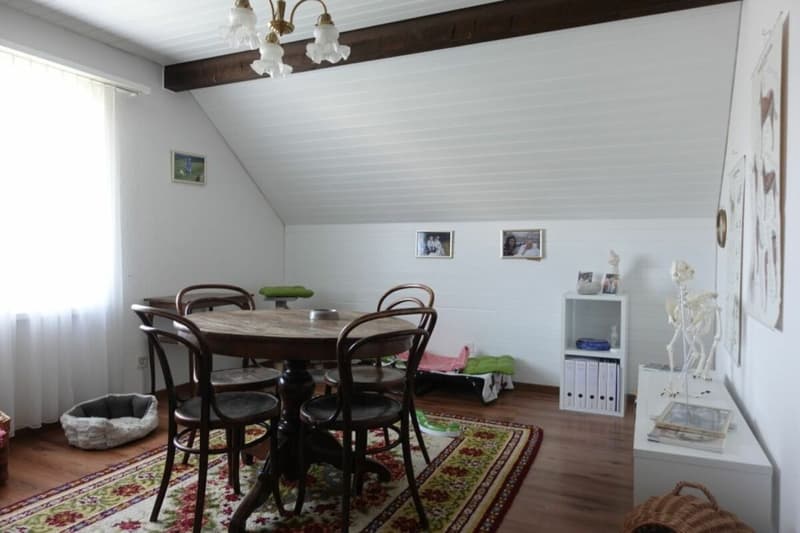 Maison unifamiliale avec grand jardin (33)