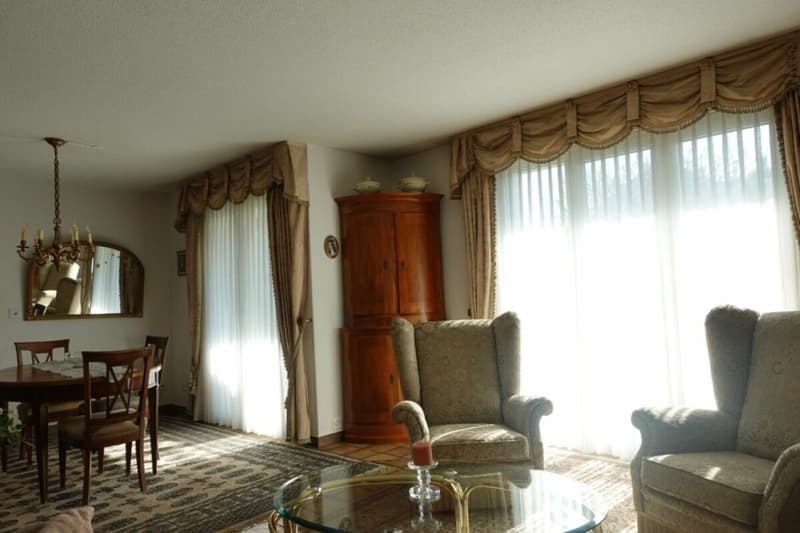 Maison unifamiliale avec grand jardin (23)