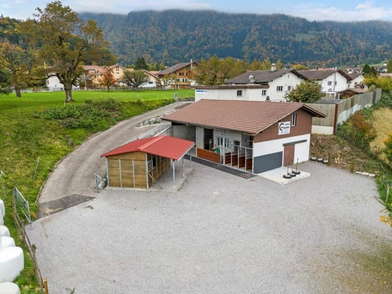 Top Offer! Horse Paradise in Simmental - Berner Oberland (2)