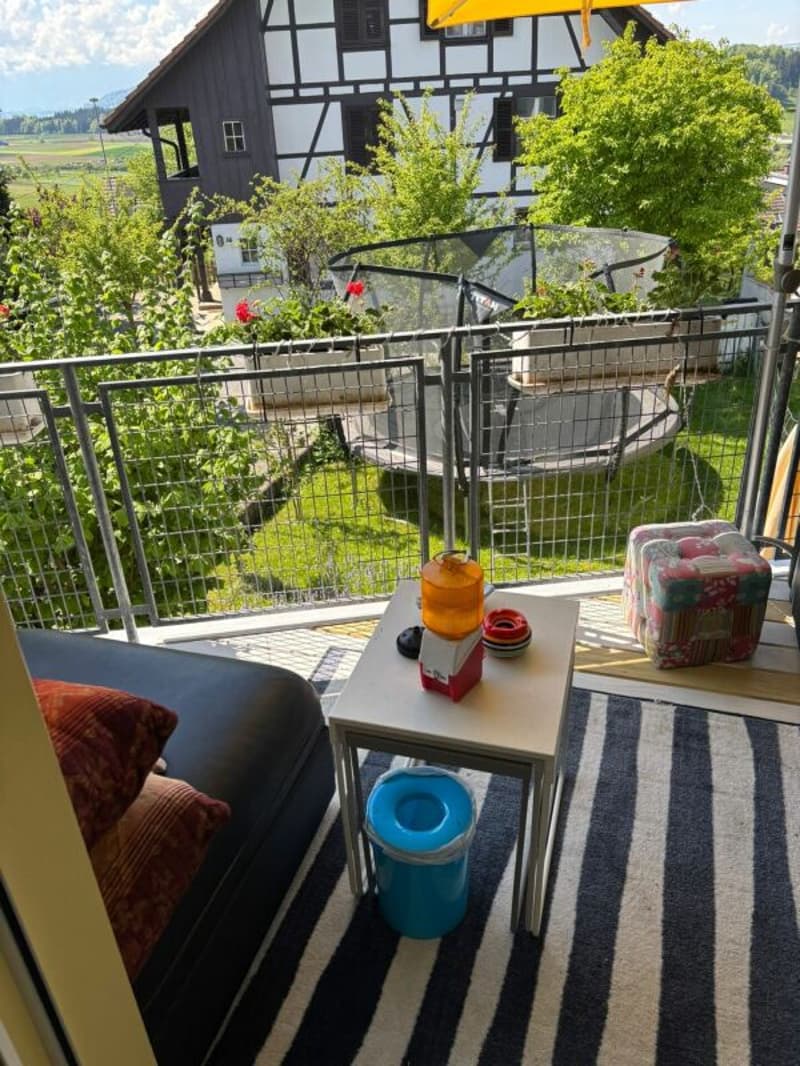 Eck-Reiheneinfamilienhaus mit zwei Einstellhallenplätze (17)
