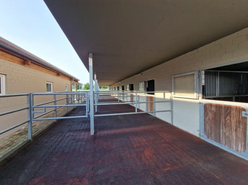 Reitsportimmobilie mit Haus und Reithalle (42)