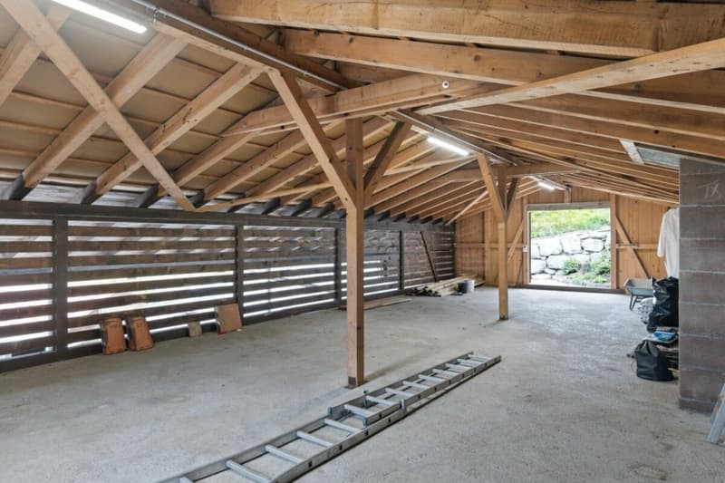 Top Angebot! Pferdeparadiesli im Simmental - Berner Oberland (19)