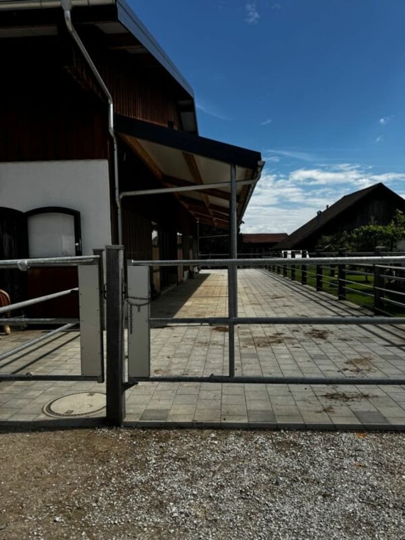 Queens Ranch Academy (5)