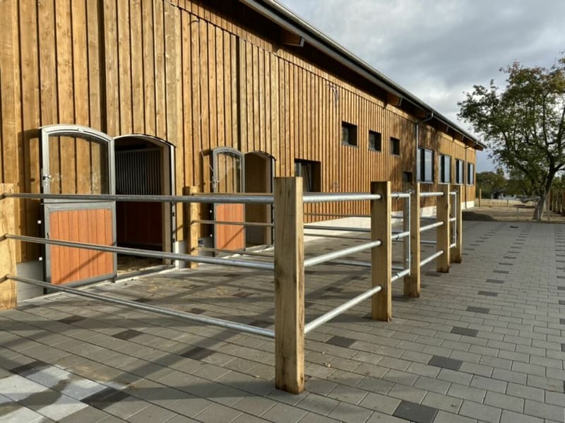 Queens Ranch Academy (4)