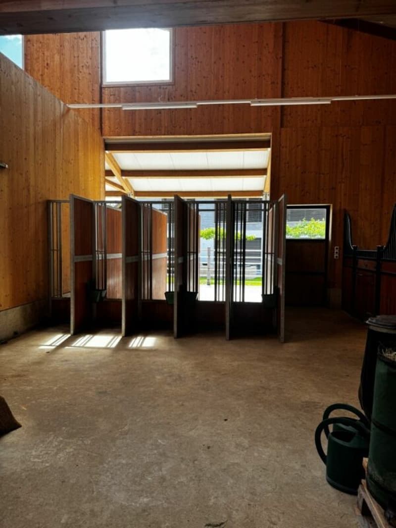 Seminar und Ausbildungszentrum - Queens Ranch Academy (12)