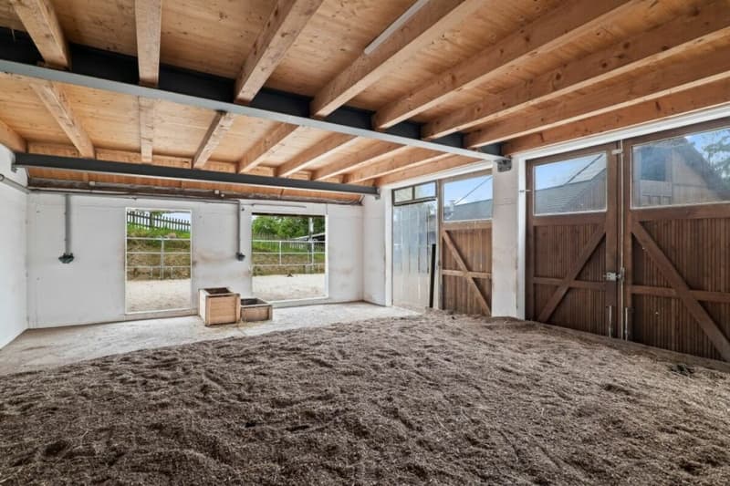 Bijou- Pferdeparadies! Einfamilienhaus mit Pferdestall (29)