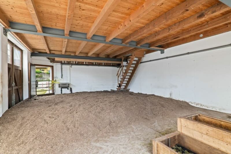 Bijou- Pferdeparadies! Einfamilienhaus mit Pferdestall (28)