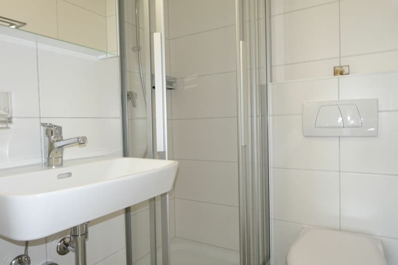 Renovierte 3.5 Zi-Eigentumswohnung mit Balkon und Einstellhallenplatz (11)