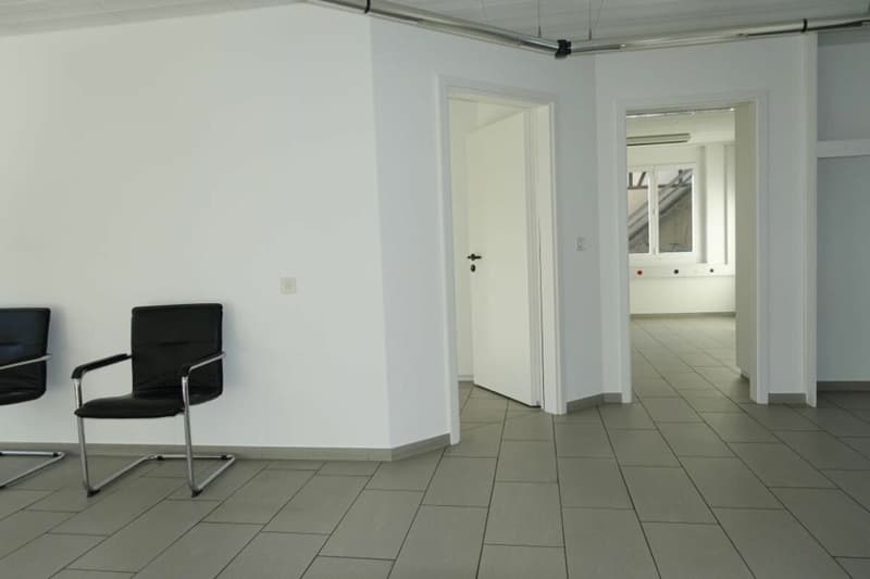 Grosszügige Gewerberäumlichkeiten im EG & UG (7)